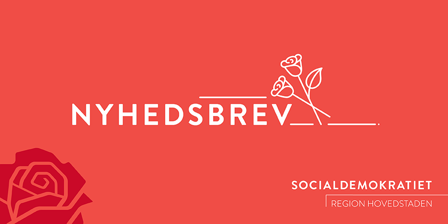 Soch Nyhedsbrev Grafik 900X450 V1 Nyhedsbrev