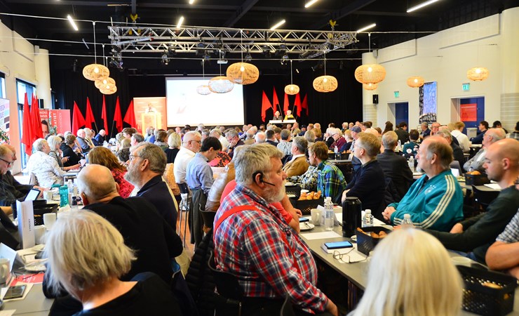 Udtalelse om ulighed